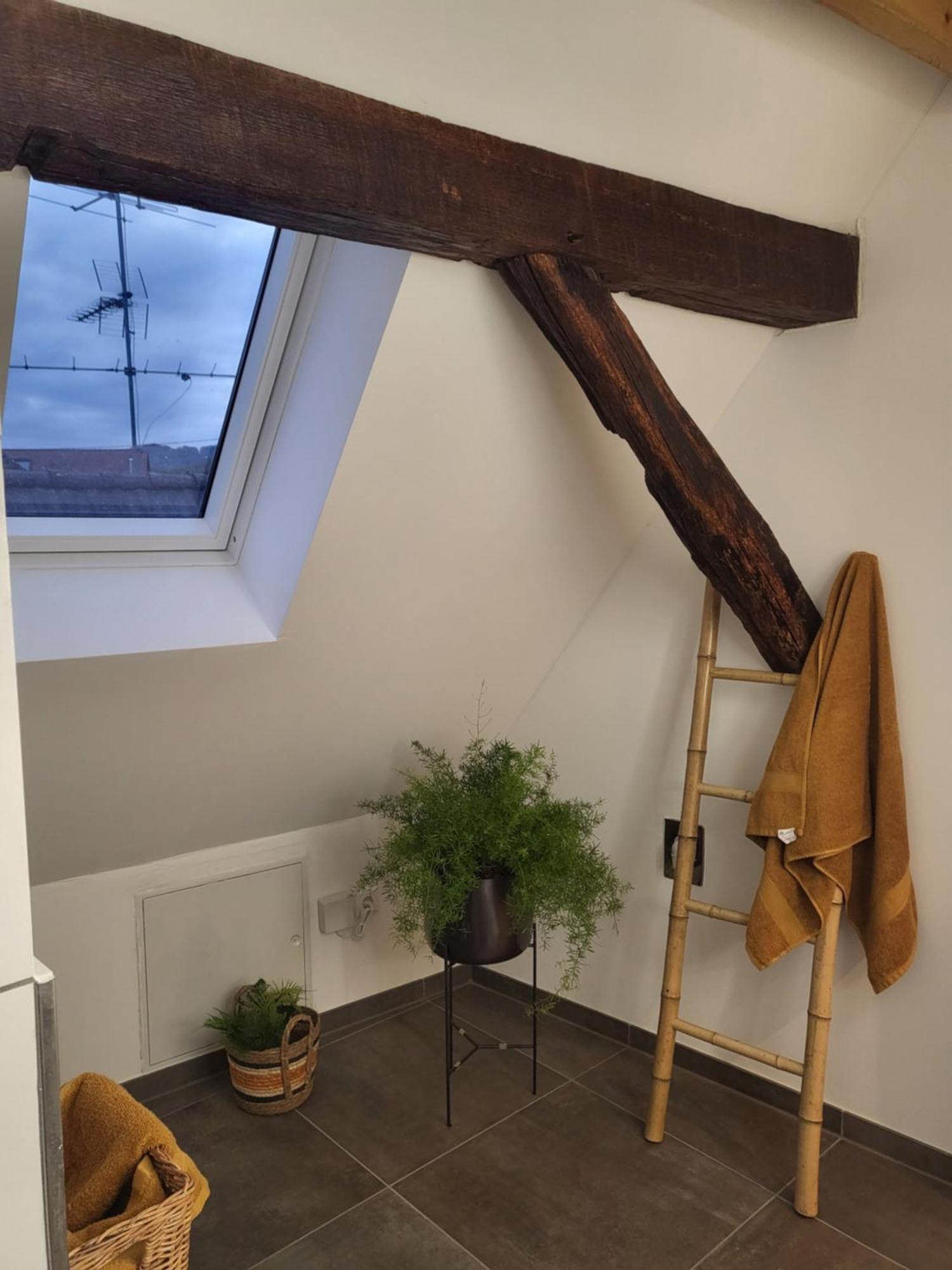 Ferienwohnung Im Rebstock Nr.1 Bahlingen  Exterior photo